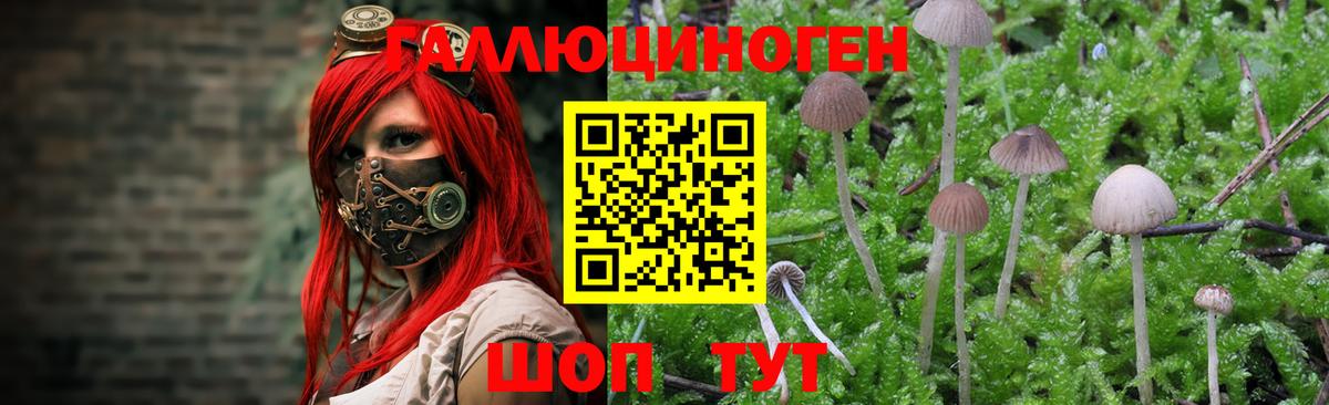 Галлюциногенные грибы Psilocybine cubensis  Галлюциногенные грибы Magic Shrooms  Вход с VPN  Люберцы 